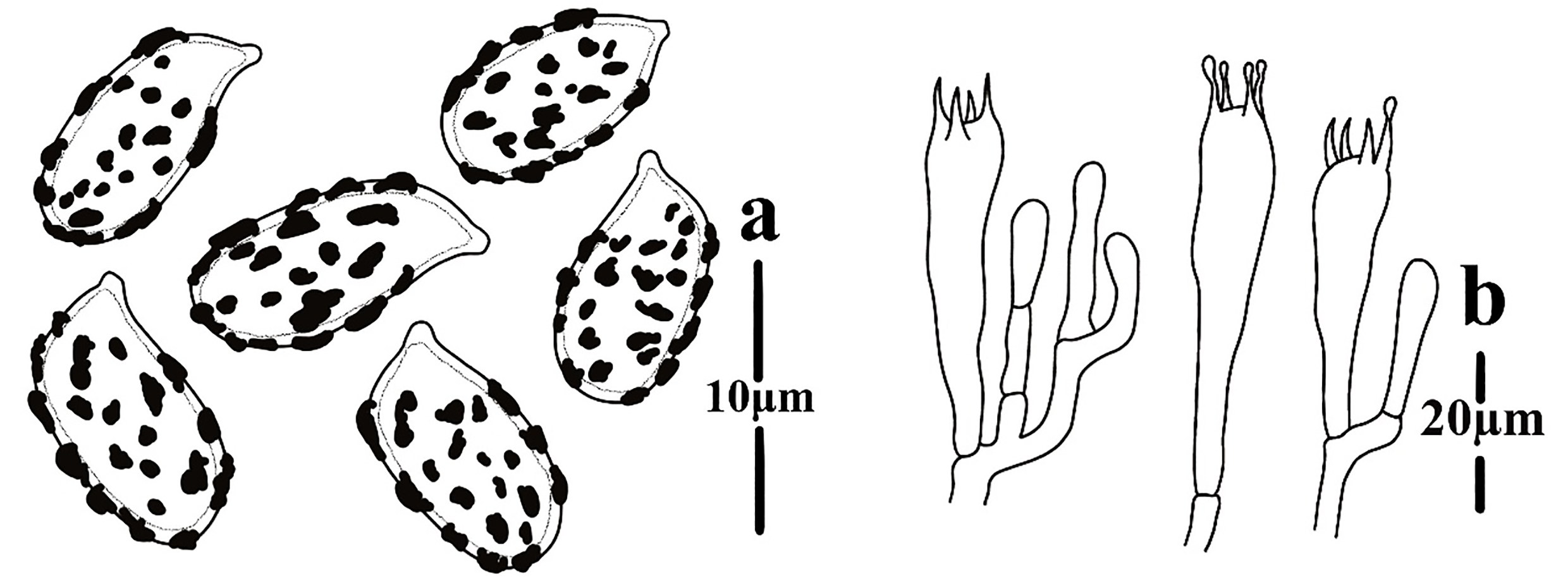 Figure 97